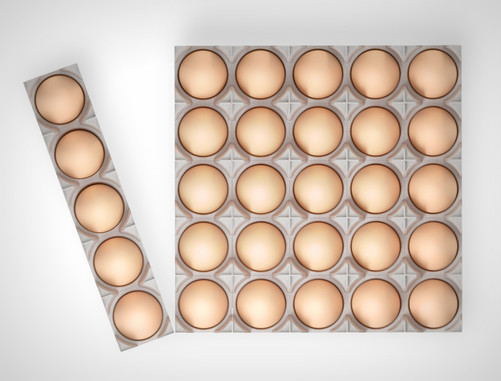 µ°ÍÐ™C(j¨©)